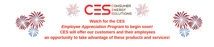 Energy Efficient Smart Homes And Commercial Buildings What Is Ces